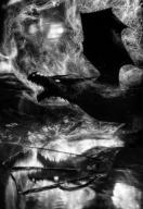 César Linares (Dragon Lights)