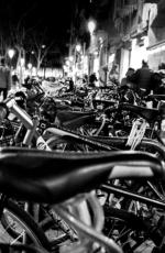 Rodrigo Pereira (Bikes in Borne)